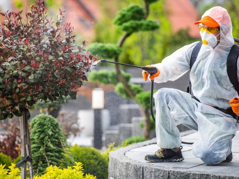 Menteşe Haşere İlaçlama