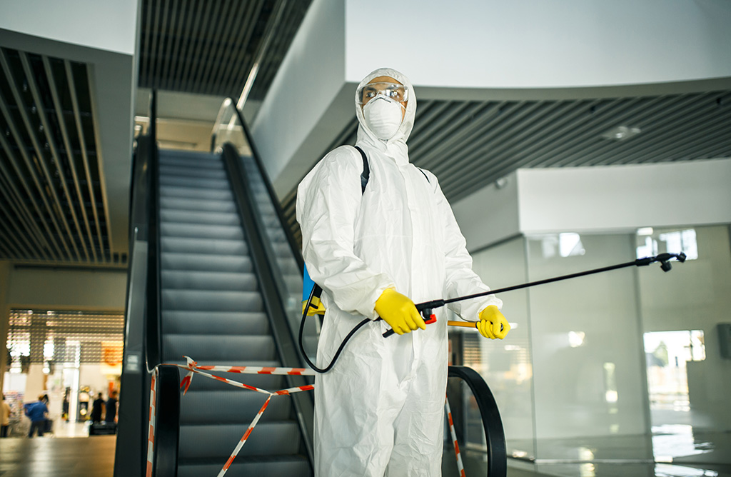 Menteşe Haşere İlaçlama